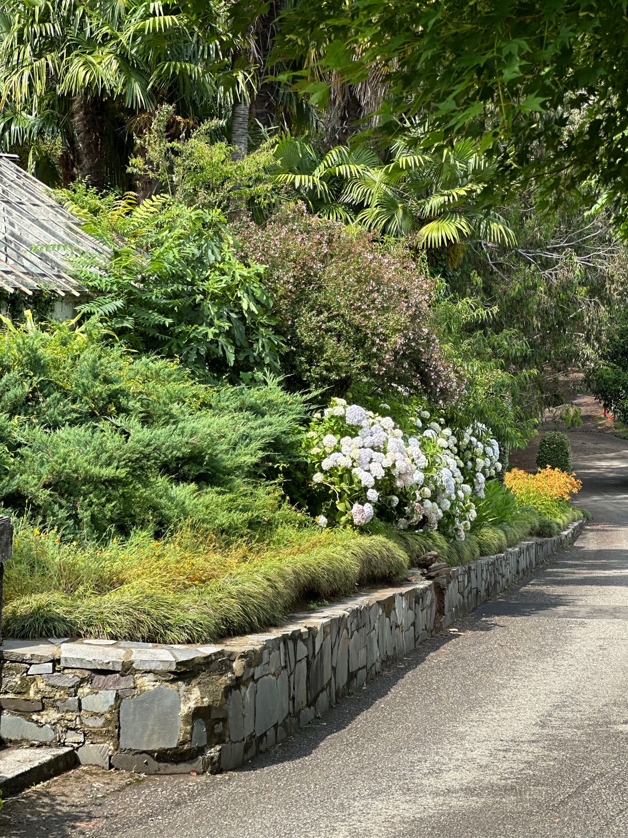 Fieldstone garden wall with hydrangeas beside a path
