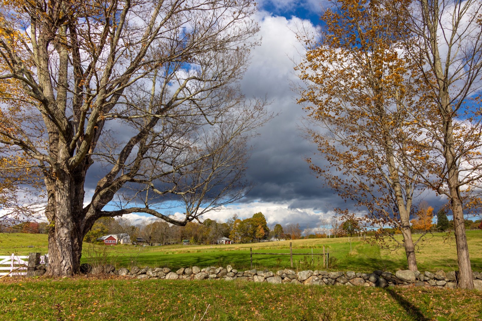 Autumn pasture with a New England fieldstone wall