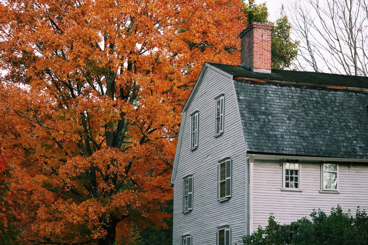 New England gambrel colonial framed by an autumn maple
